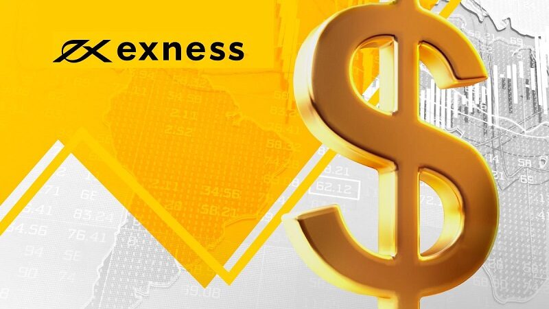 Explore the World of Forex Trading With Exness Explore the World of Forex Trading With Exness