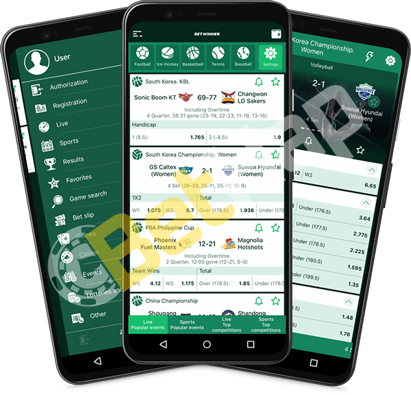 The Complete Guide to Betwinner Winning Strategies and Tips The Complete Guide to Betwinner Winning Strategies and Tips