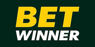 The Ultimate Guide to the Process BetWinner Withdrawal The Ultimate Guide to the Process BetWinner Withdrawal